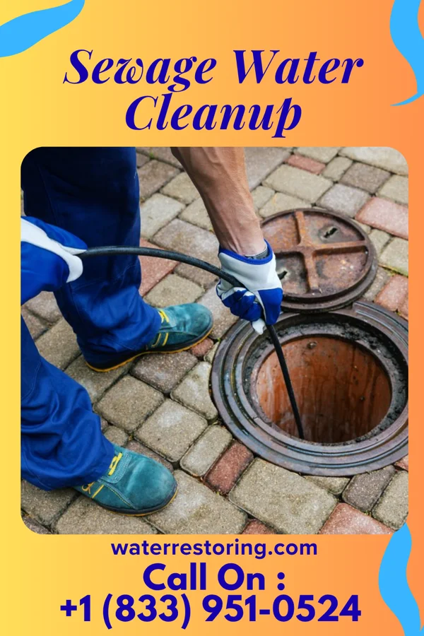 Sewage Water Cleanup in Ko Vaya, AZ